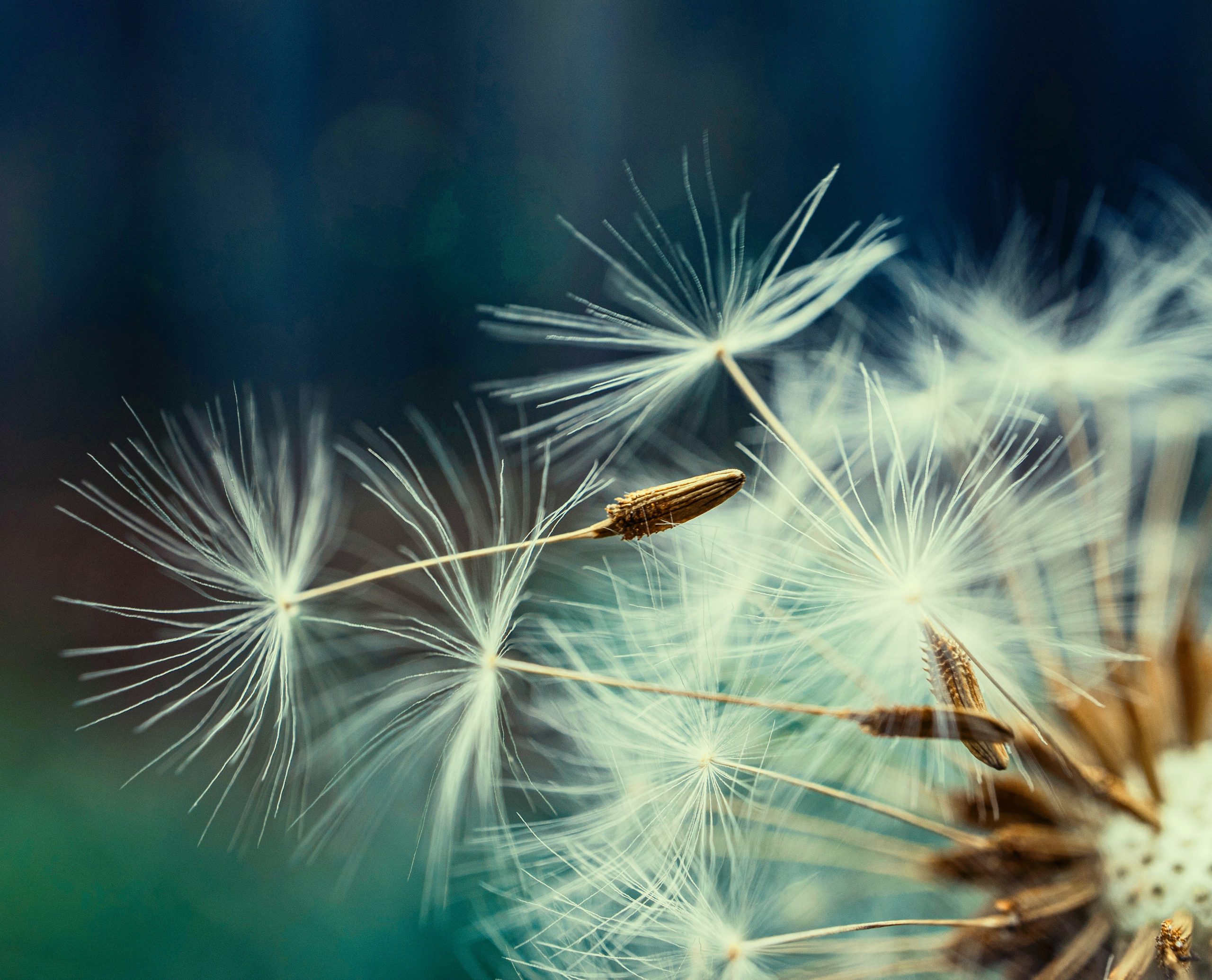 RH et recrutement Grenoble et Isère Osévole RH